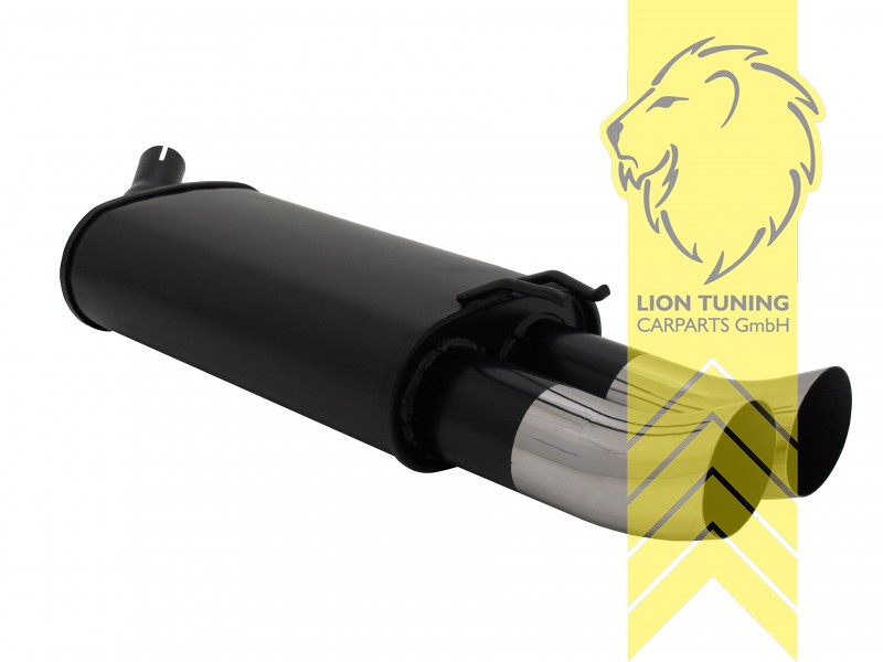 2 x 76mm DTM, Endrohr doppel, 76mm, Rund, nicht für 16V, Metall / Stahl, 1.2, Eintragungsfrei / mit ABE