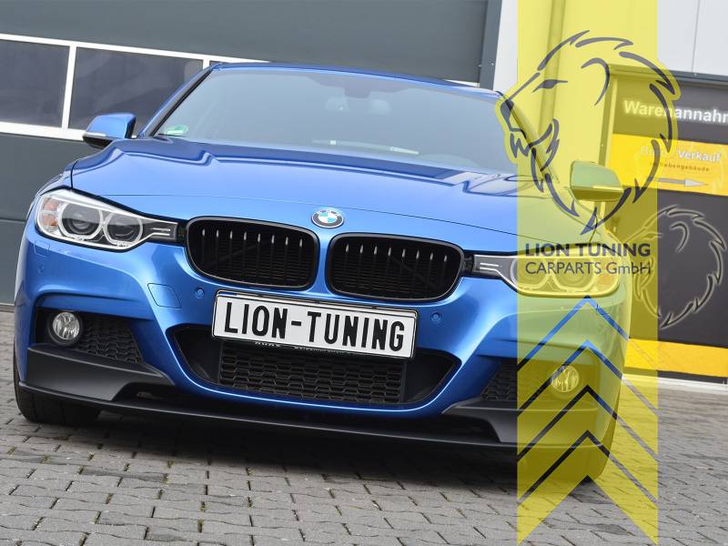Kühlergrill Grill Schwarz Glanz Doppelsteg Sport passend für BMW 3er F –  Tuning King