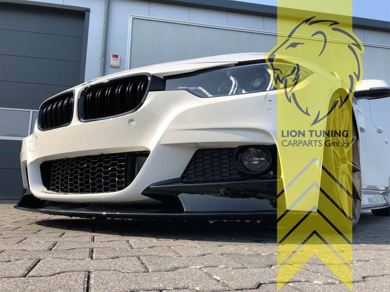 Liontuning - Tuningartikel für Ihr Auto  Lion Tuning Carparts GmbH Projekt BMW  F30