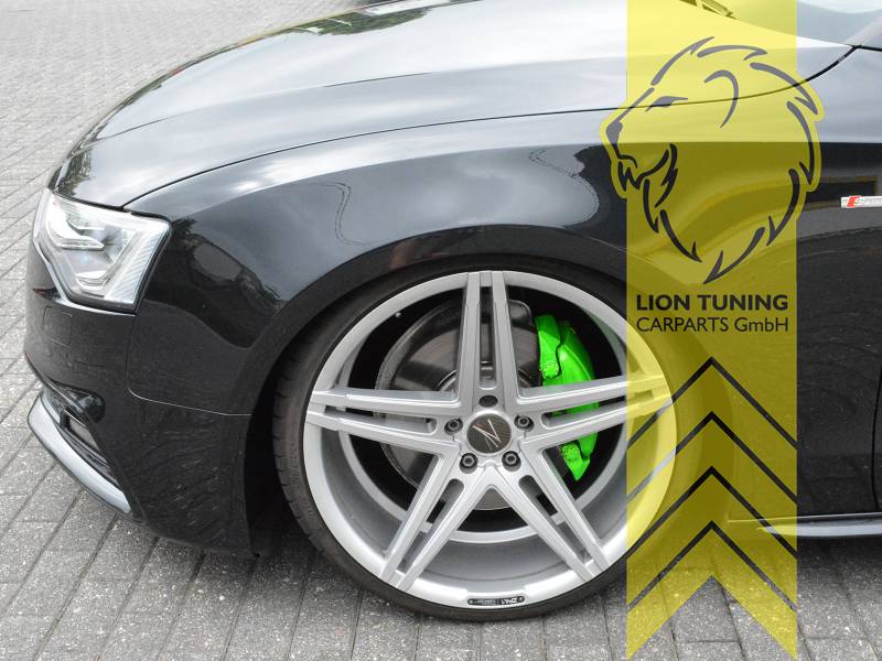 Liontuning - Tuningartikel für Ihr Auto  Lion Tuning Carparts GmbH Foliatec  Bremssattel Lack Set Farbe Rosso rot