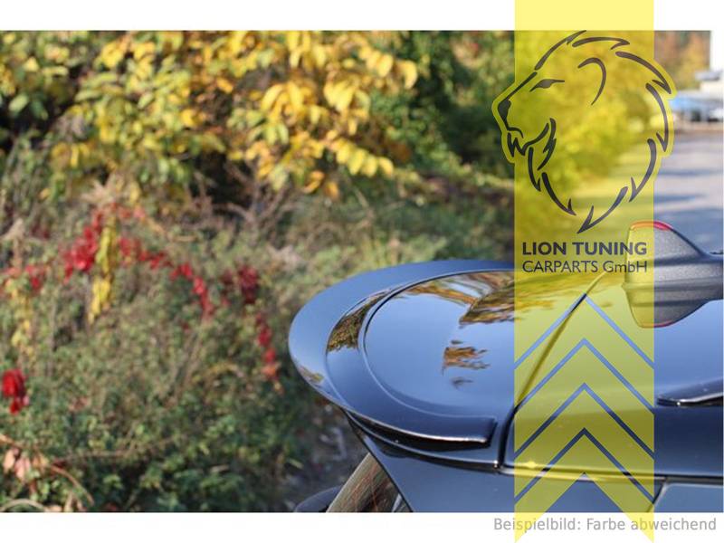 schwarz glänzend, ABS Kunststoff, Eintragungsfrei / mit ABE