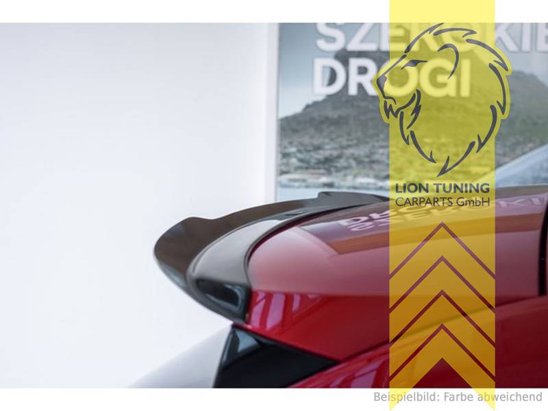 schwarz glänzend, ABS Kunststoff, Eintragungsfrei / mit ABE