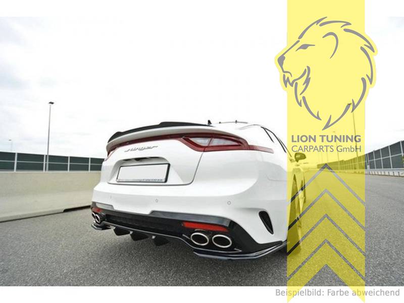 schwarz glänzend, ABS Kunststoff, Eintragungsfrei / mit ABE