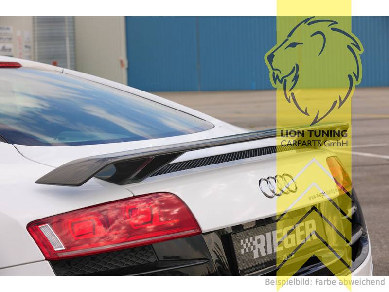 schwarz matt, nur passend für V8 Modelle, bis max. 316 km/h geprüft, Carbon, ABS Kunststoff, schwarz - lackierfähig, Eintragungsfrei / mit ABE