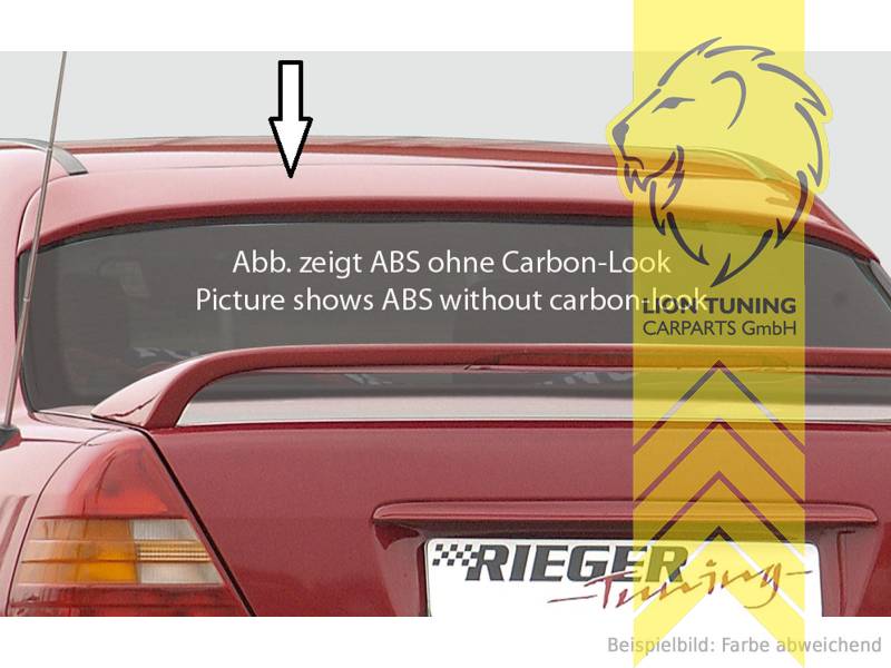 carbon Optik, ABS Kunststoff, schwarz - lackierfähig, Eintragungsfrei / mit ABE