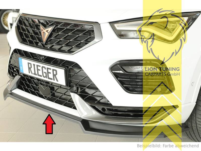 schwarz matt, ABS Kunststoff, Eintragungsfrei / mit ABE