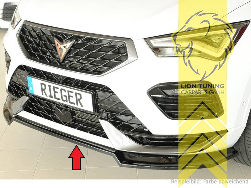 schwarz glänzend, ABS Kunststoff, Eintragungsfrei / mit ABE