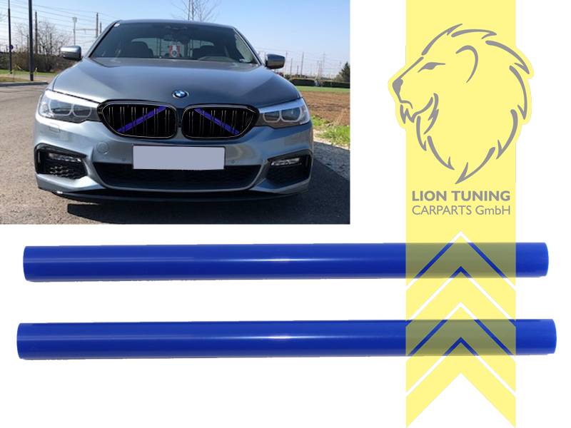 blau, ABS Kunststoff, Eintragungsfrei / keine Eintragung nötig