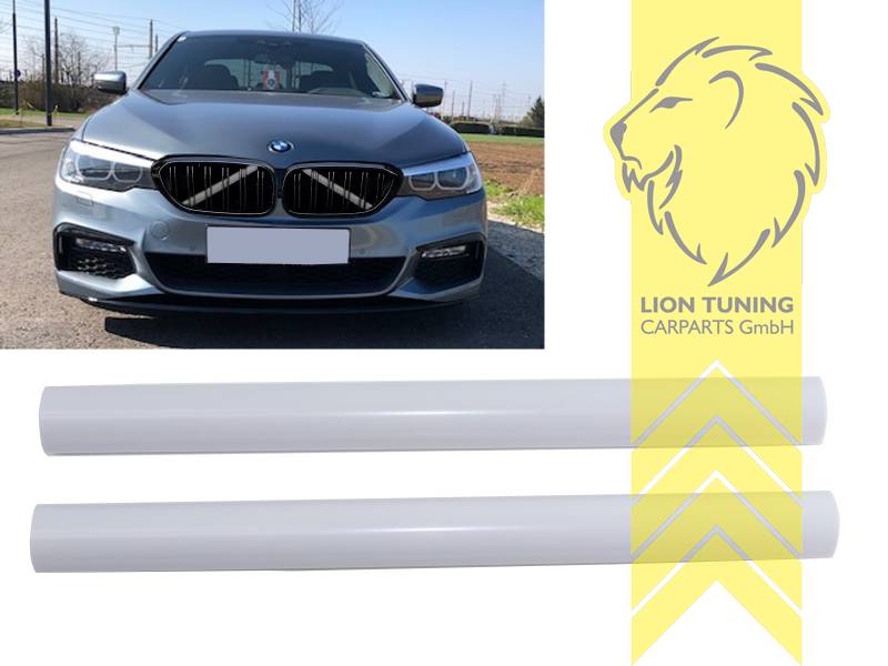 weiss, ABS Kunststoff, Eintragungsfrei / keine Eintragung nötig