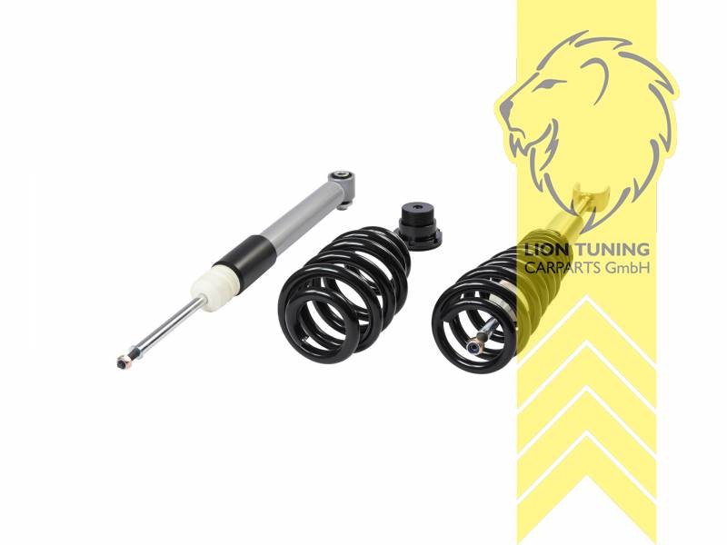 Liontuning - Tuningartikel für Ihr Auto  Lion Tuning Carparts GmbH KW  Gewindefahrwerk inox für Audi A6 Avant F2 C8 4A5 05/2018- V1