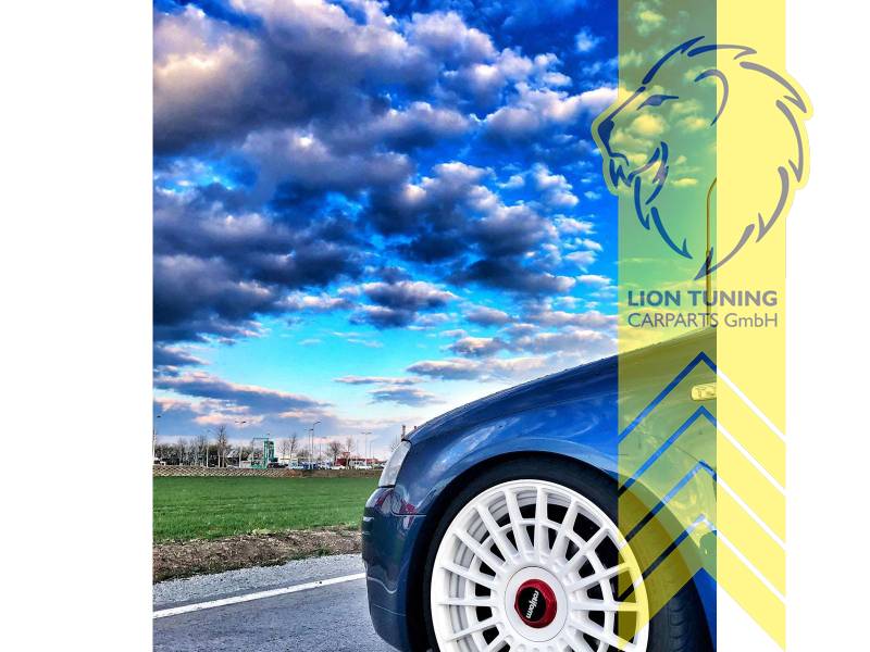 BlackEdition Gewinde Sportfahrwerk Audi A3 (8P) Inkl. Sportback 3/03- 55mm