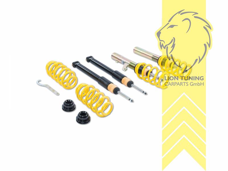 Nur für Fahrzeuge mit einem Klemmdurchmesser an der VA von 55mm., ST X (Mit fester Kennung), gelb, Bei Fahrzeugen die mit elektronischer Dämpferregelung ausgerüstet sind ist diese gemäß der Anleitung stillzulegen. Elektroniksatz zur Stilllegung KW Nr. 68510342., Stahl verzinkt, Eintragungspflichtig / Teilegutachten liegt bei