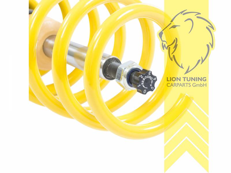 Liontuning - Tuningartikel für Ihr Auto  Lion Tuning Carparts GmbH ST  Gewindefahrwerk für VW Polo 6 AW ST XA