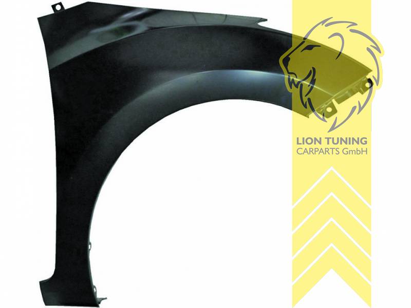 wird mit Schutzlackierung ausgeliefert - Farbe kann vom Bild abweichen, nur für rechts (Beifahrerseite), Metall / Stahl, Eintragungsfrei / als Ersatzteil verwendbar