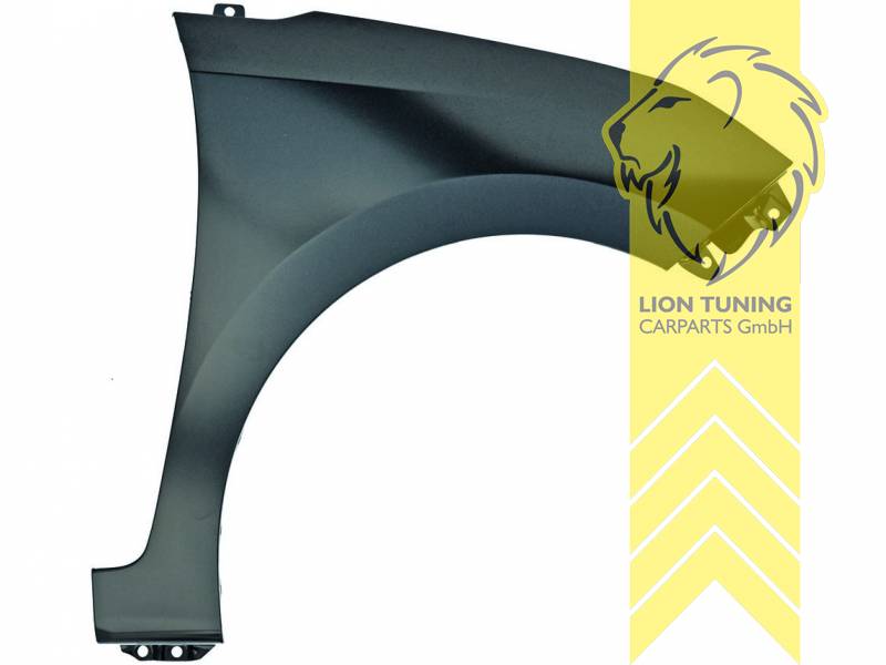 wird mit Schutzlackierung ausgeliefert - Farbe kann vom Bild abweichen, nur für rechts (Beifahrerseite), Metall / Stahl, Eintragungsfrei / als Ersatzteil verwendbar