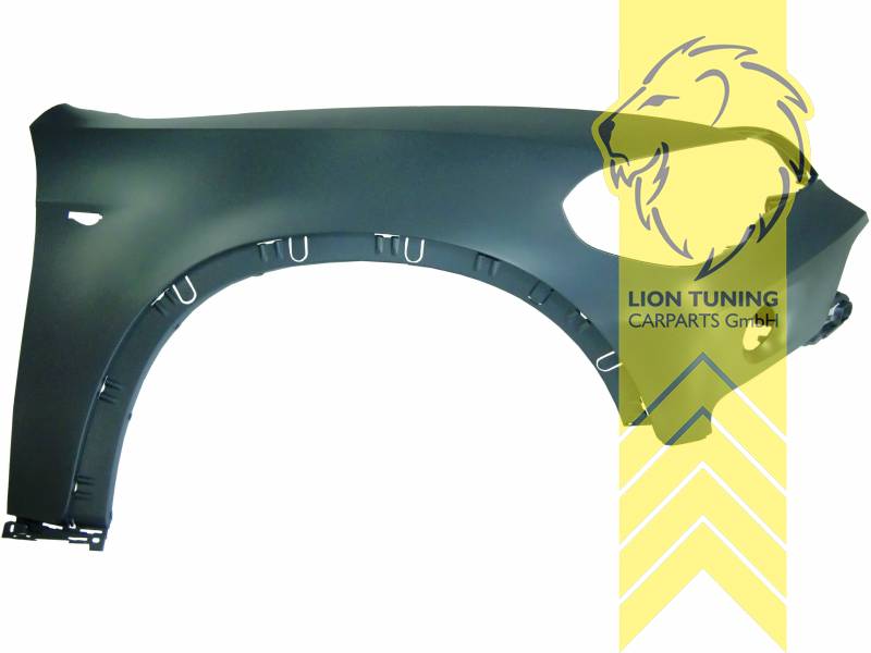 wird mit Schutzlackierung ausgeliefert - Farbe kann vom Bild abweichen, nur für rechts (Beifahrerseite), PP Kunststoff, Eintragungsfrei / als Ersatzteil verwendbar