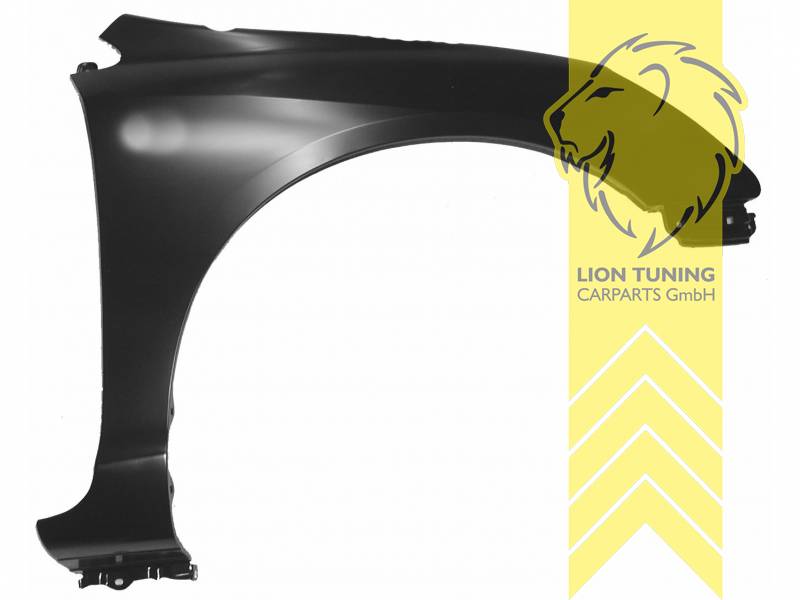 wird mit Schutzlackierung ausgeliefert - Farbe kann vom Bild abweichen, nur für rechts (Beifahrerseite), Metall / Stahl, Eintragungsfrei / als Ersatzteil verwendbar