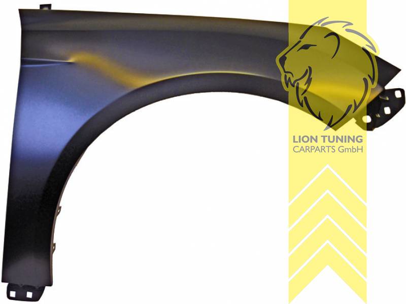 wird mit Schutzlackierung ausgeliefert - Farbe kann vom Bild abweichen, nur für rechts (Beifahrerseite), Metall / Stahl, Eintragungsfrei / als Ersatzteil verwendbar