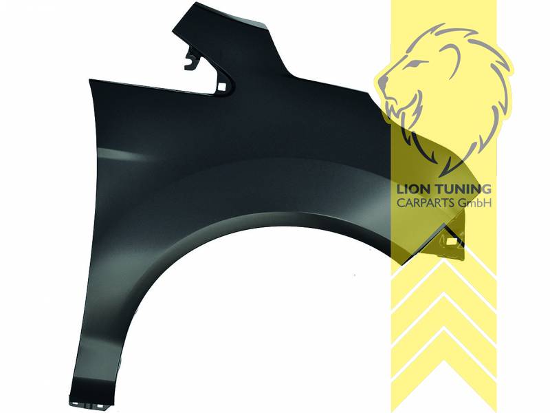 wird mit Schutzlackierung ausgeliefert - Farbe kann vom Bild abweichen, nur für rechts (Beifahrerseite), Metall / Stahl, Eintragungsfrei / als Ersatzteil verwendbar