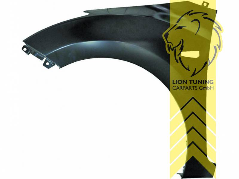 wird mit Schutzlackierung ausgeliefert - Farbe kann vom Bild abweichen, nur für links (Fahrerseite), Metall / Stahl, Eintragungsfrei / als Ersatzteil verwendbar