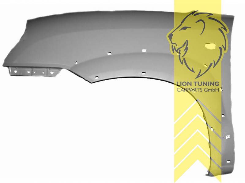 wird mit Schutzlackierung ausgeliefert - Farbe kann vom Bild abweichen, nur für links (Fahrerseite), Metall / Stahl, Eintragungsfrei / als Ersatzteil verwendbar