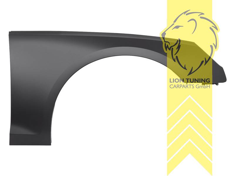 wird mit Schutzlackierung ausgeliefert - Farbe kann vom Bild abweichen, nur für rechts (Beifahrerseite), Metall / Stahl, Eintragungsfrei / als Ersatzteil verwendbar