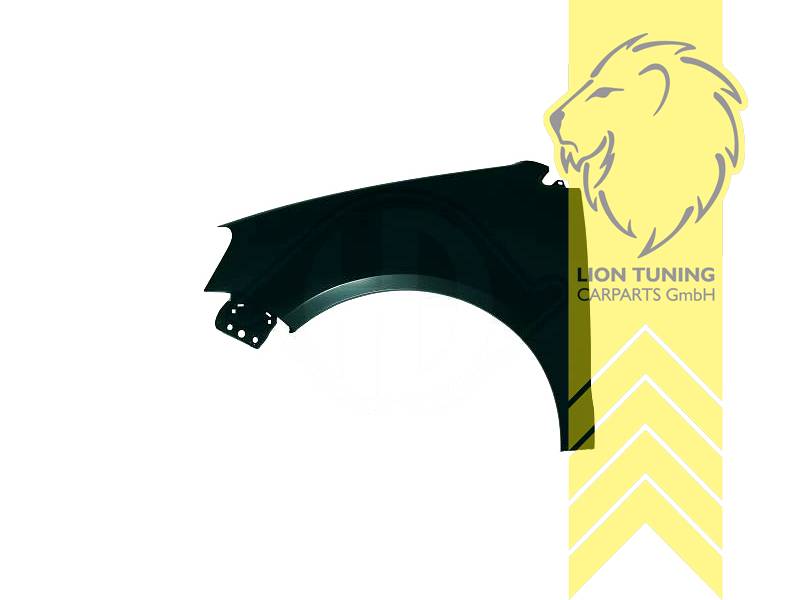 wird mit Schutzlackierung ausgeliefert - Farbe kann vom Bild abweichen, nur für rechts (Beifahrerseite), Metall / Stahl, Eintragungsfrei / als Ersatzteil verwendbar