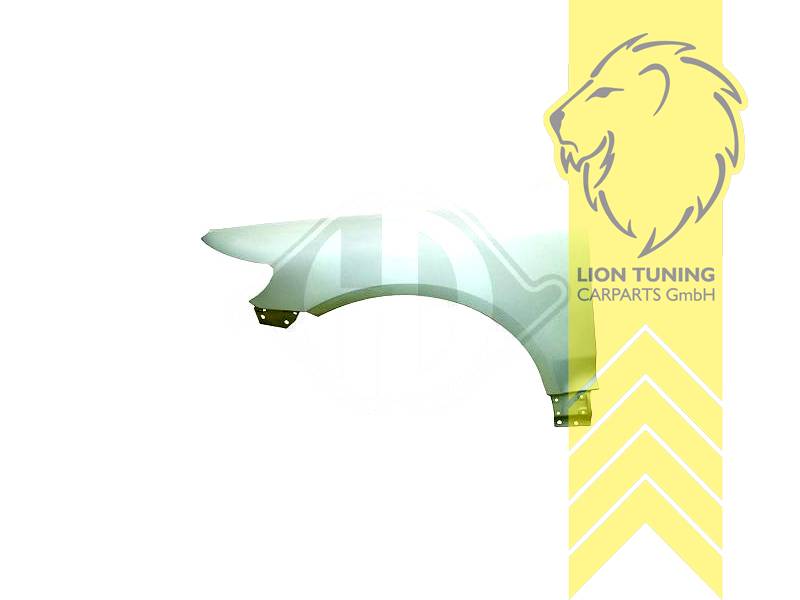 wird mit Schutzlackierung ausgeliefert - Farbe kann vom Bild abweichen, nur für rechts (Beifahrerseite), PP Kunststoff, Eintragungsfrei / als Ersatzteil verwendbar