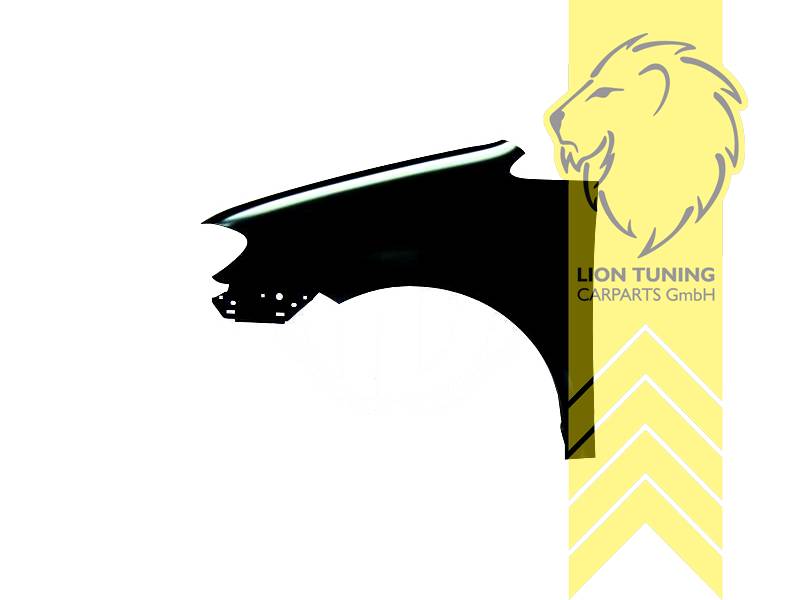 wird mit Schutzlackierung ausgeliefert - Farbe kann vom Bild abweichen, nur für links (Fahrerseite), Metall / Stahl, Eintragungsfrei / als Ersatzteil verwendbar