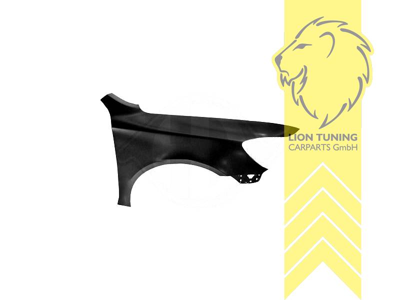 wird mit Schutzlackierung ausgeliefert - Farbe kann vom Bild abweichen, nur für rechts (Beifahrerseite), Metall / Stahl, Eintragungsfrei / als Ersatzteil verwendbar