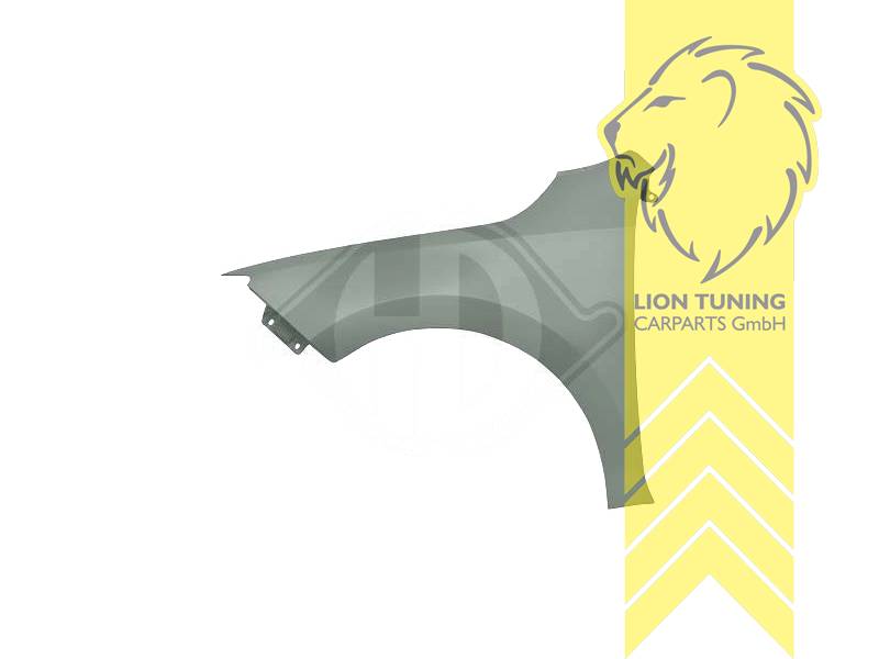 wird mit Schutzlackierung ausgeliefert - Farbe kann vom Bild abweichen, nur für links (Fahrerseite), Metall / Stahl, Eintragungsfrei / als Ersatzteil verwendbar
