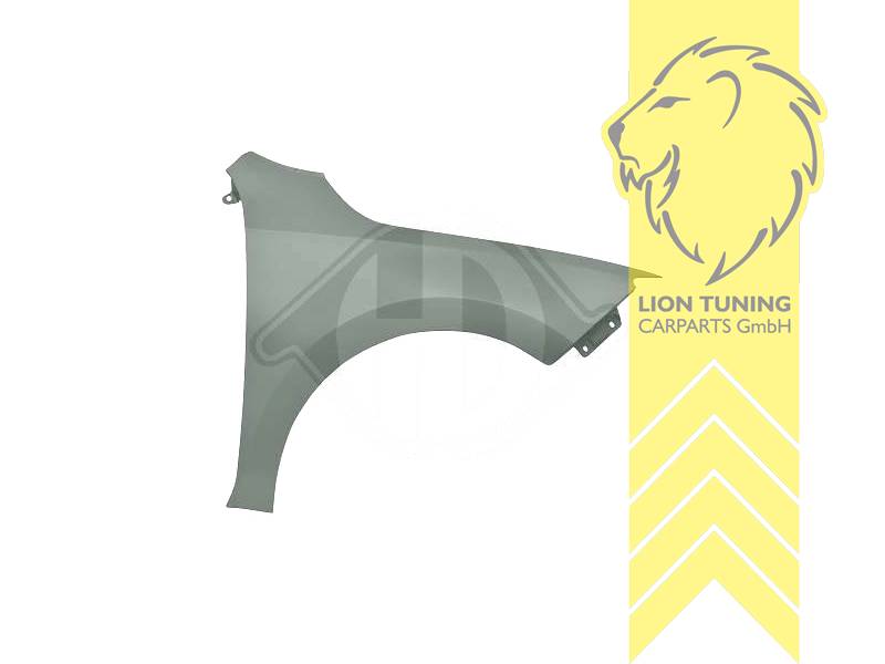 wird mit Schutzlackierung ausgeliefert - Farbe kann vom Bild abweichen, nur für rechts (Beifahrerseite), Metall / Stahl, Eintragungsfrei / als Ersatzteil verwendbar