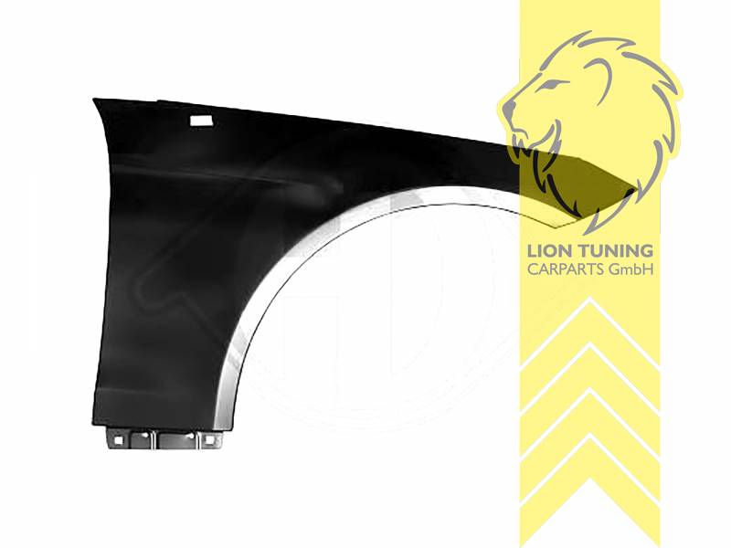 wird mit Schutzlackierung ausgeliefert - Farbe kann vom Bild abweichen, nur für rechts (Beifahrerseite), Aluminium, Eintragungsfrei / als Ersatzteil verwendbar