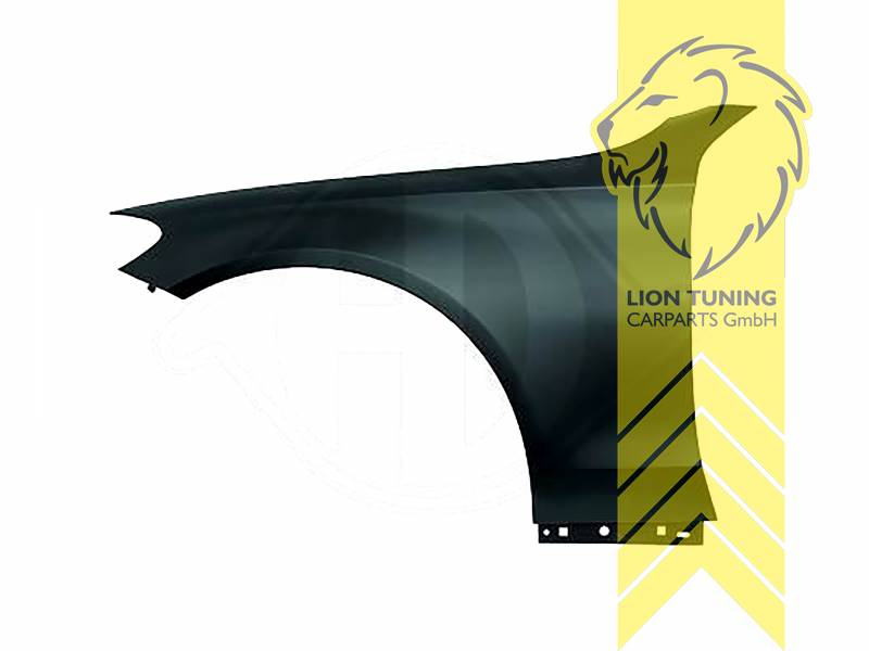 wird mit Schutzlackierung ausgeliefert - Farbe kann vom Bild abweichen, nur für links (Fahrerseite), Aluminium, Eintragungsfrei / als Ersatzteil verwendbar