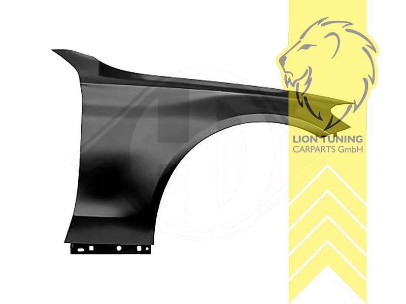 wird mit Schutzlackierung ausgeliefert - Farbe kann vom Bild abweichen, nur für rechts (Beifahrerseite), Metall / Stahl, Eintragungsfrei / als Ersatzteil verwendbar