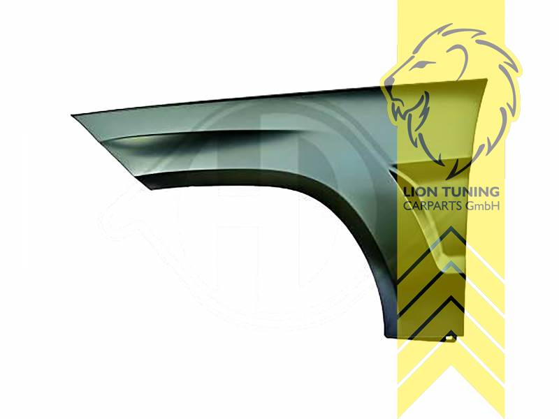 wird mit Schutzlackierung ausgeliefert - Farbe kann vom Bild abweichen, nur für rechts (Beifahrerseite), Metall / Stahl, Eintragungsfrei / als Ersatzteil verwendbar