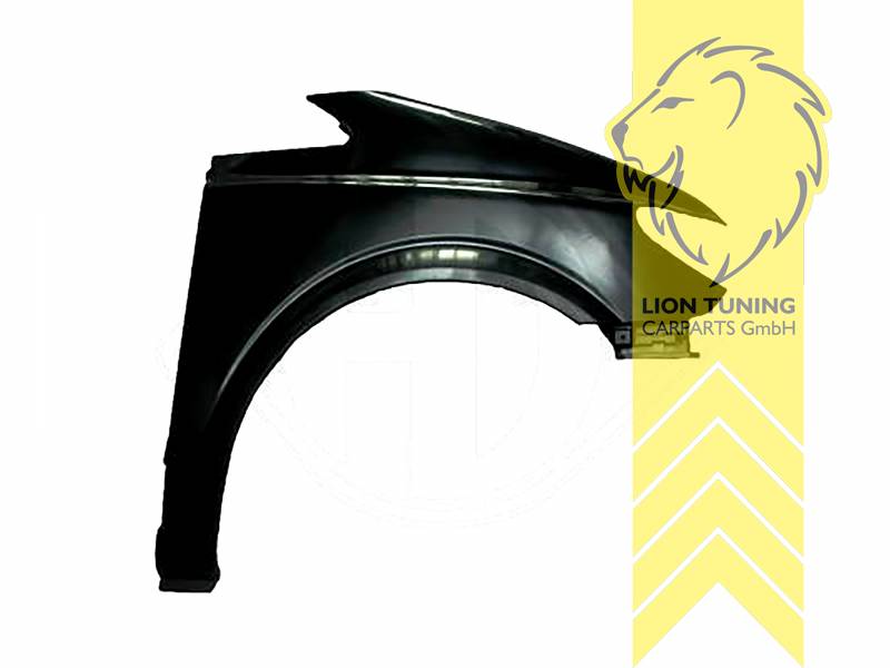 wird mit Schutzlackierung ausgeliefert - Farbe kann vom Bild abweichen, nur für rechts (Beifahrerseite), PP Kunststoff, Eintragungsfrei / als Ersatzteil verwendbar