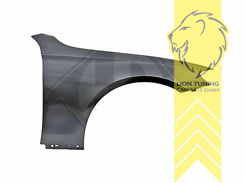 wird mit Schutzlackierung ausgeliefert - Farbe kann vom Bild abweichen, nur für rechts (Beifahrerseite), Aluminium, Eintragungsfrei / als Ersatzteil verwendbar