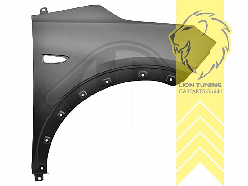 wird mit Schutzlackierung ausgeliefert - Farbe kann vom Bild abweichen, nur für rechts (Beifahrerseite), Metall / Stahl, Eintragungsfrei / als Ersatzteil verwendbar