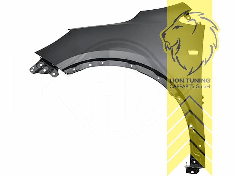 wird mit Schutzlackierung ausgeliefert - Farbe kann vom Bild abweichen, nur für links (Fahrerseite), Metall / Stahl, Eintragungsfrei / als Ersatzteil verwendbar