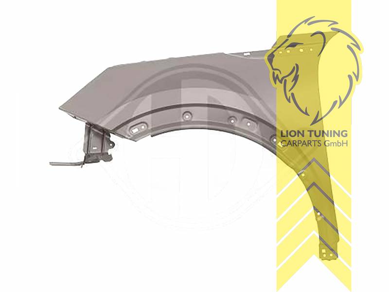 wird mit Schutzlackierung ausgeliefert - Farbe kann vom Bild abweichen, nur für links (Fahrerseite), Metall / Stahl, Eintragungsfrei / als Ersatzteil verwendbar