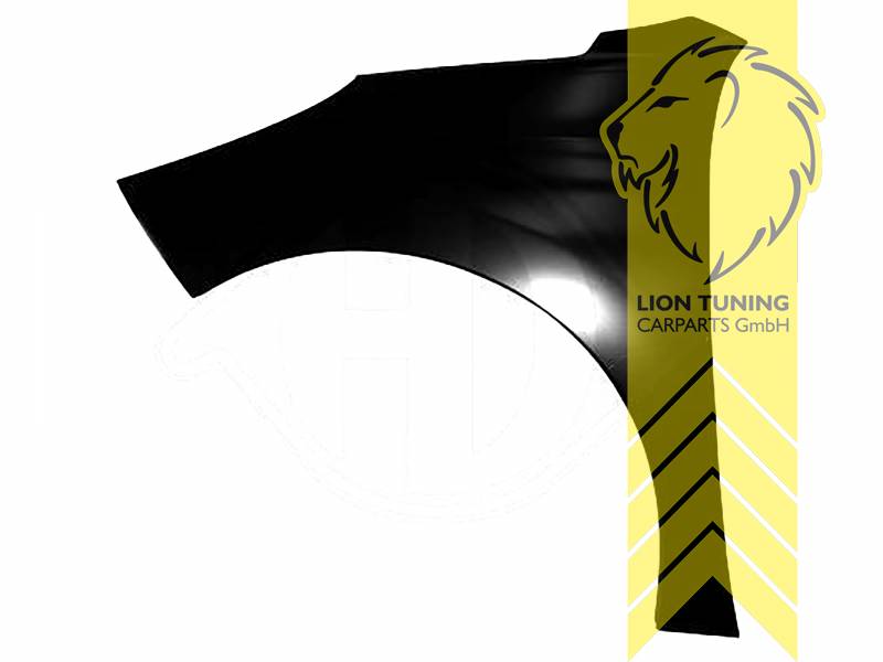 wird mit Schutzlackierung ausgeliefert - Farbe kann vom Bild abweichen, nur für rechts (Beifahrerseite), Metall / Stahl, Eintragungsfrei / als Ersatzteil verwendbar