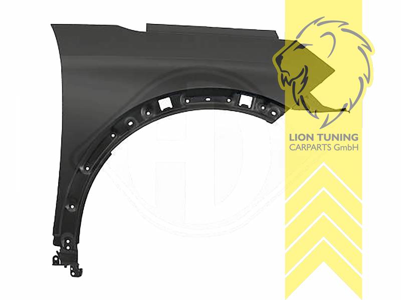 wird mit Schutzlackierung ausgeliefert - Farbe kann vom Bild abweichen, nur für rechts (Beifahrerseite), Aluminium, Eintragungsfrei / als Ersatzteil verwendbar