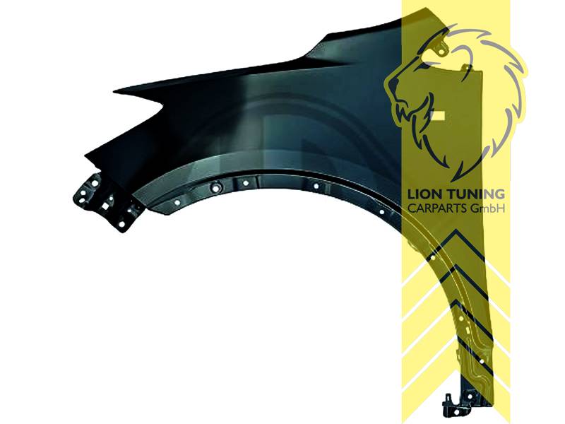 wird mit Schutzlackierung ausgeliefert - Farbe kann vom Bild abweichen, nur für links (Fahrerseite), Metall / Stahl, Eintragungsfrei / als Ersatzteil verwendbar