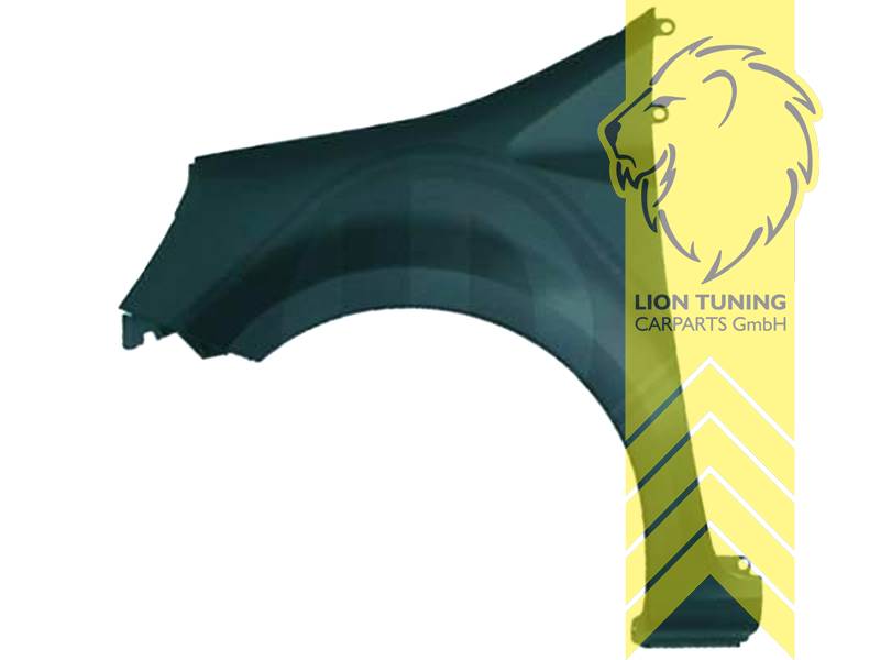 nur für links (Fahrerseite), Metall / Stahl, schwarz - lackierfähig, Eintragungsfrei / als Ersatzteil verwendbar