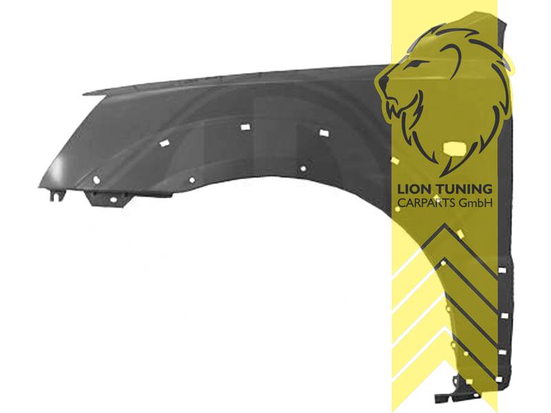 nur für links (Fahrerseite), Metall / Stahl, schwarz - lackierfähig, Eintragungsfrei / als Ersatzteil verwendbar