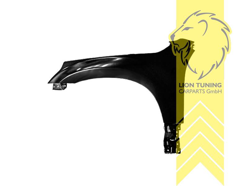 nur für links (Fahrerseite), Metall / Stahl, schwarz - lackierfähig, Eintragungsfrei / als Ersatzteil verwendbar