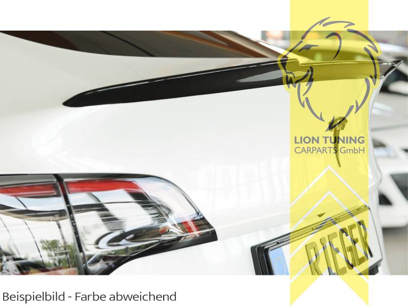 Liontuning - Tuningartikel für Ihr Auto  Lion Tuning Carparts GmbH Rieger  Hecklippe Spoiler Heckspoiler Kofferraum Lippe für VW Passat 3B 3BG  Limousine