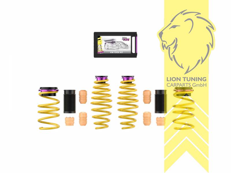 gelb, VA   HA höhenverstellbar (Federnsatz bestehend aus VA HA Federn mit Höhenverstellung, kann ausschließlich mit Seriendämpfern verwendet werden), Chrom-Silizium-Stahl, Eintragungspflichtig / Teilegutachten liegt bei