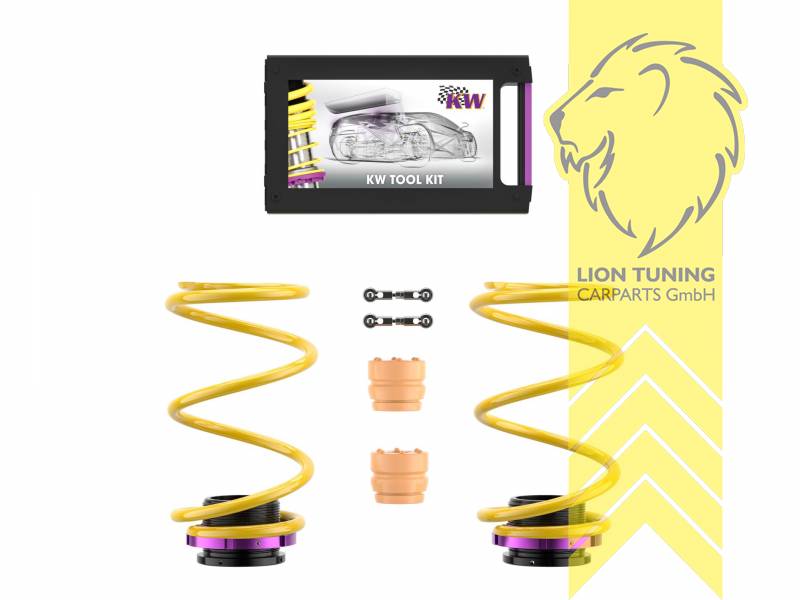 gelb, Nur VA höhenverstellbar (Federn   Höhenverstellung), HA Tieferlegung erfolgt mittels serienmäßiger Luftfederung, Chrom-Silizium-Stahl, Eintragungspflichtig / Teilegutachten liegt bei